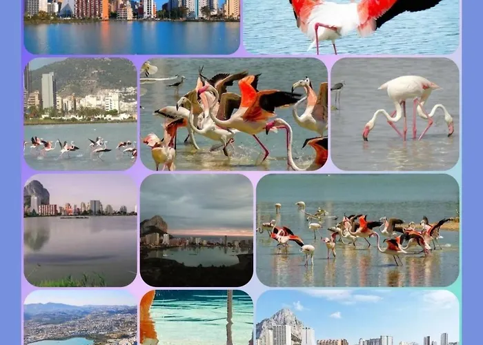 Paradis Apartamento Calpe