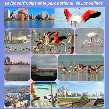 Paradis Appartement Calp